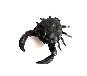�