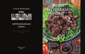 Про шашлык. Непромокаемая книга