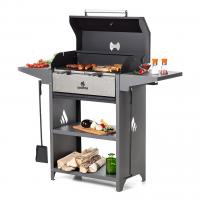 Гриль-мангал Family Optima BBQ FOB 2000