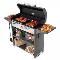Гриль-мангал Professional Optima BBQ POB 3000